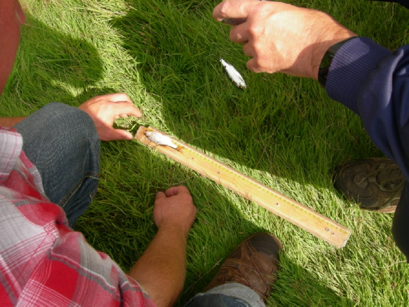 Lith 2008 (142)